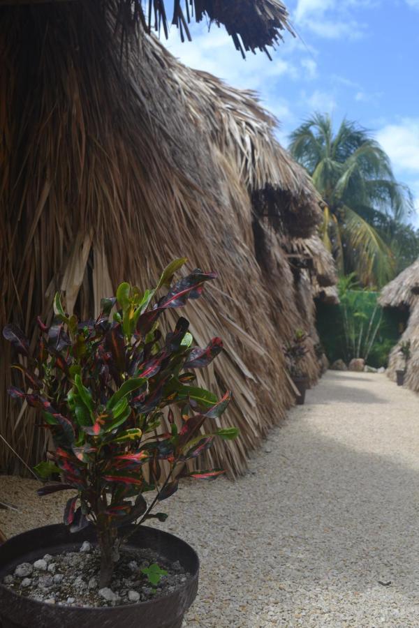 Hakuna Matata Glamping Campsite Bacalar